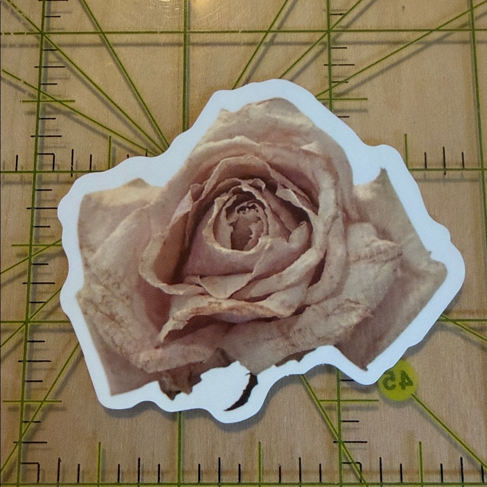 🧡25/$25 Sticker Sale | Flowers | Must +Bundle 25 Stickers & Free Shipping!